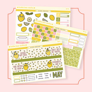 ✷NEW✷ BBS Arched Spiral Monthly Kit May Bubba Bear Studios ✷NEW✷ BBS Arched Spiral Monthly Kit